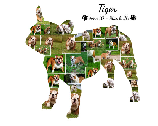 Personalized Bulldog photo collage gift, a unique present for dog enthusiasts to celebrate their beloved pet