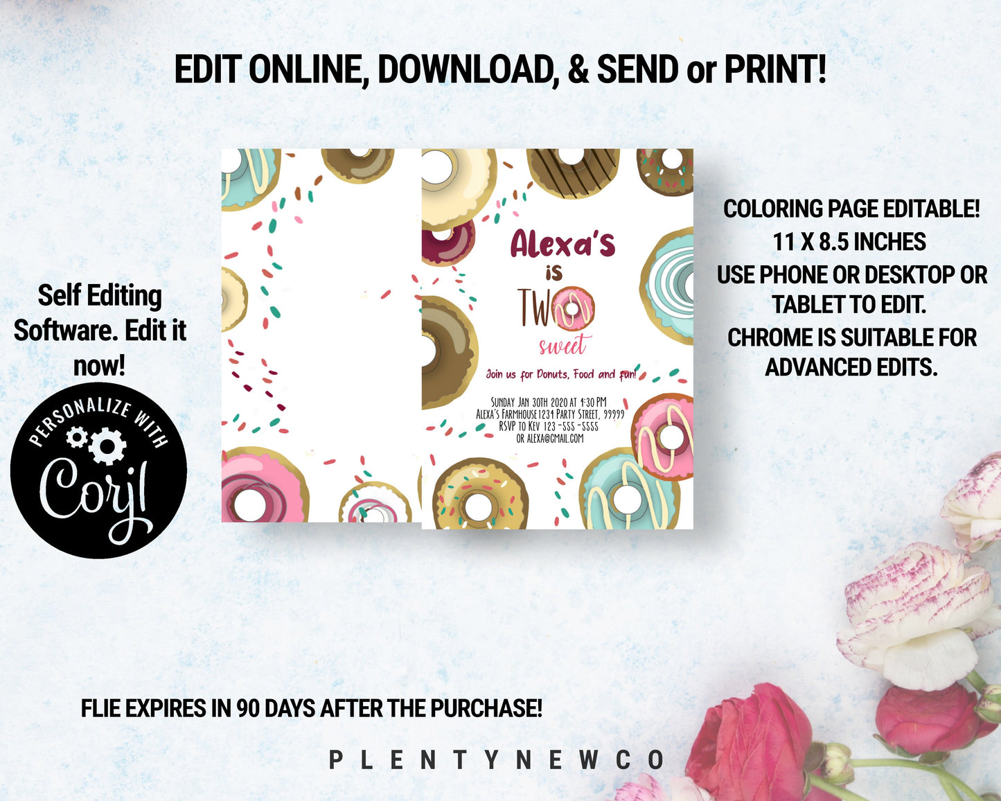 Editable Two Sweet Donut Birthday Invitation PFA