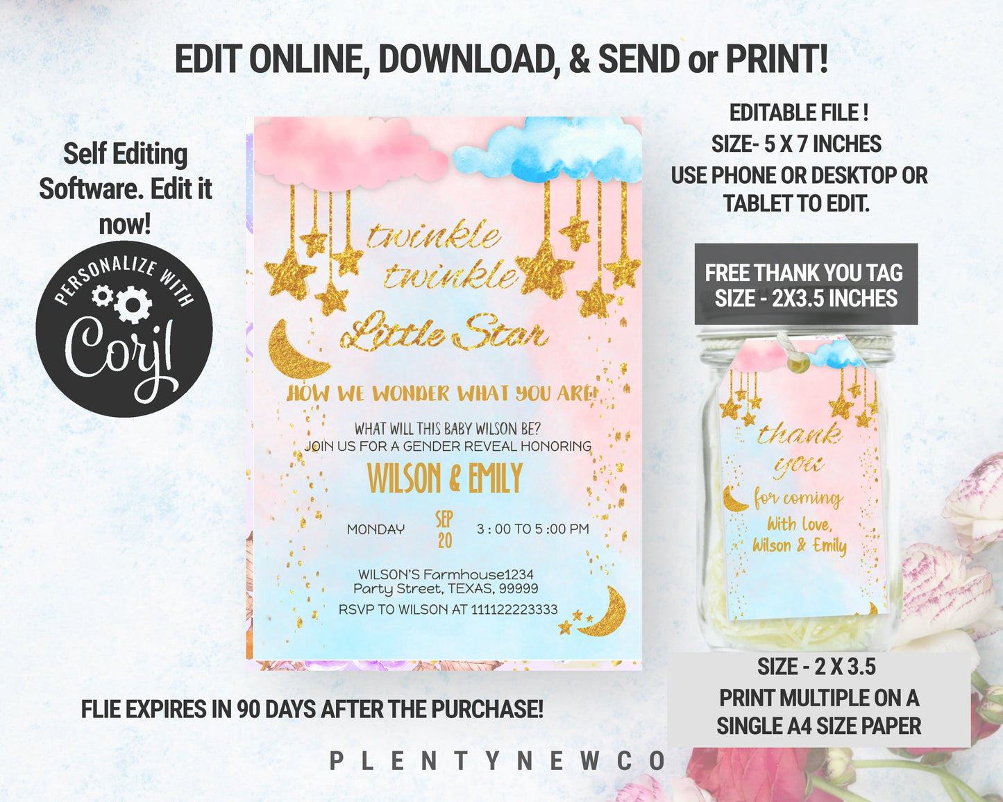 Twinkle Twinkle Little Star Gender Reveal Invitation, Gold Moon and Stars Gender Reveal Party Invite Template, He Or She, Boy Or Girl, , TT